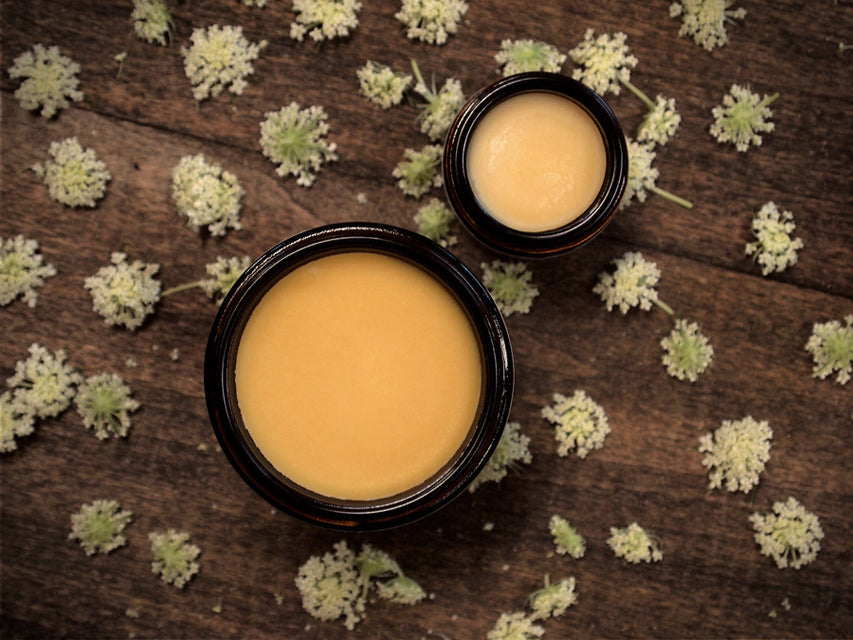Product Spotlight: Garden Carrot Hand Cream