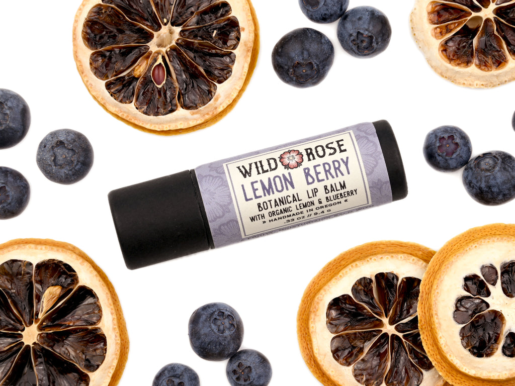 Lemon Berry Lip Balm in a biodegradable paper tube. Dried lemon slices and blueberries surround.