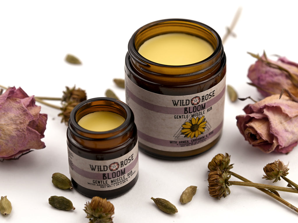Bloom Gentle Muscle Rub in amber glass jars with lids removed revealing a creamy yellow balm. Dried flowers and cardamom pods surround.