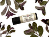 Basil Mint Natural Lip Balm in a biodegradable paper tube. Dried mint leaves surround.
