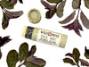 Basil Mint Natural Lip Balm in a biodegradable paper tube. The cap is off revealing a creamy light green balm. Dried mint leaves surround.