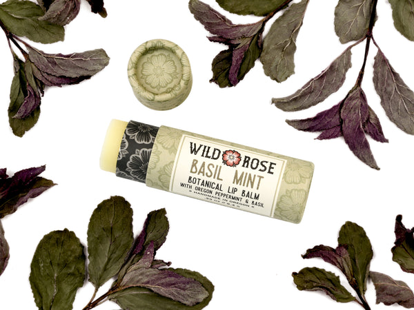 Basil Mint Natural Lip Balm in a biodegradable paper tube. The cap is off revealing a creamy light green balm. Dried mint leaves surround.