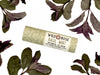 Wild Rose Basil Mint Botanical Lip Balm in a cylindrical paper tube with a floral pattern, surrounded by dried green and purple mint leaves on a white background.