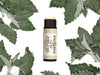 Catnip Natural Lip Balm in a biodegradable paper tube. The cap is removed revealing a creamy, light green balm. Dried catnip leaves surround.