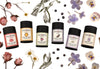 Botanical Dry Shampoos shown in rainbow order in all scents with dried herbs surrounding.