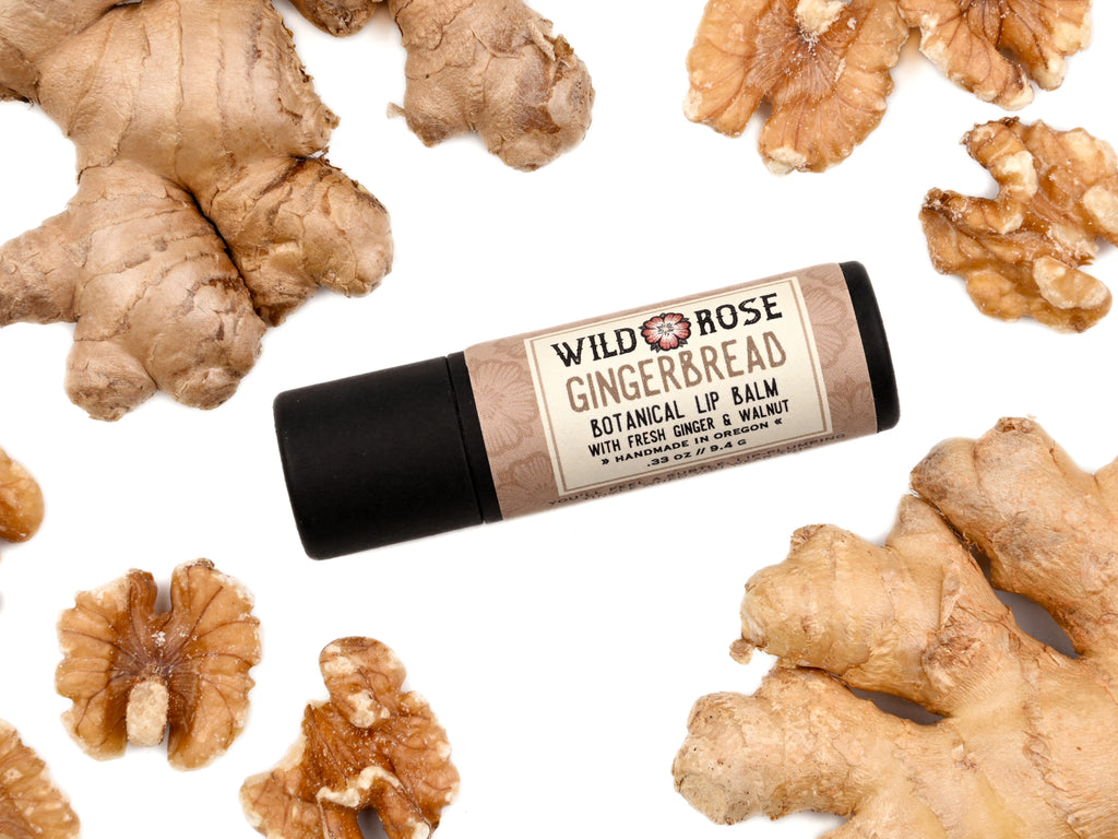 Gingerbread Natural Lip Balm in a biodegradable paper tube. Ginger root and walnuts surround.