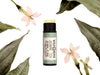 Jasmine Tea Natural Lip Balm in a biodegradable paper tube. The cap is removed revealing a creamy, green lip balm. Dried leaves and pressed flowers surround. 