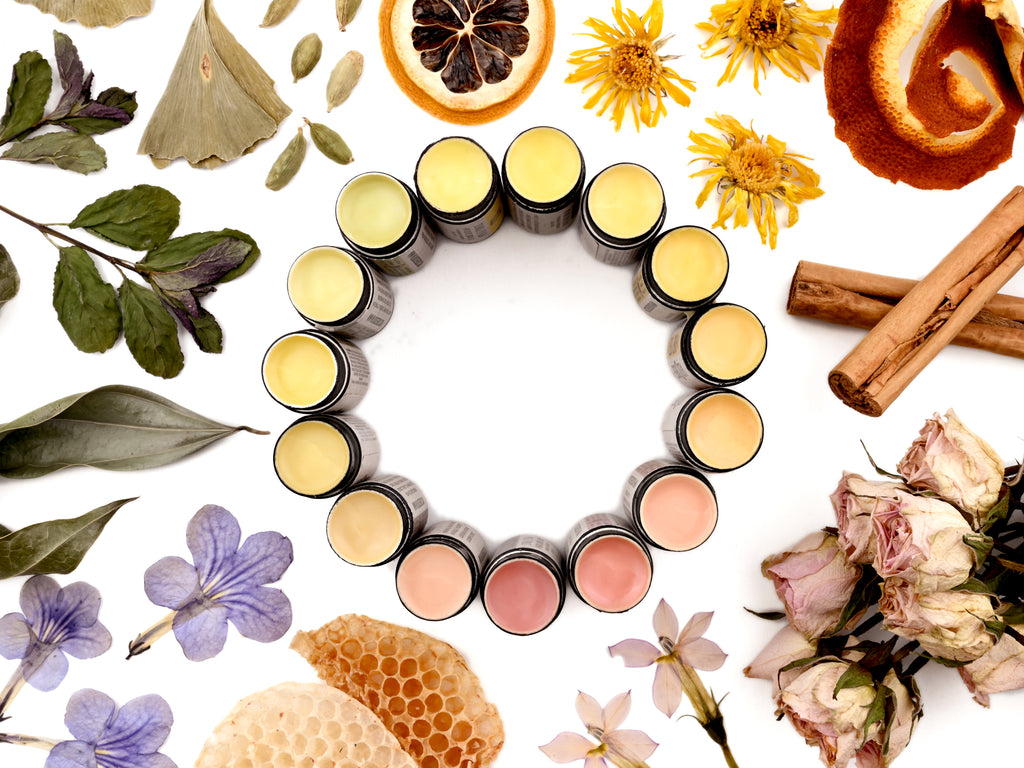 A collection of Wild Rose natural lip balms with caps removed revealing multiple soft shades of creamy herbal lip balm. They are arranged in a circular rainbow pattern with dried botanicals surrounding.