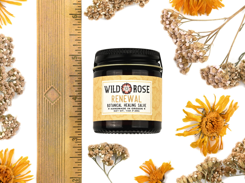 Renewal Healing Salve in a 4oz amber glass jar with metal lid. Shown near a ruler at about 2" tall.  Dried yarrow and calendula surround.