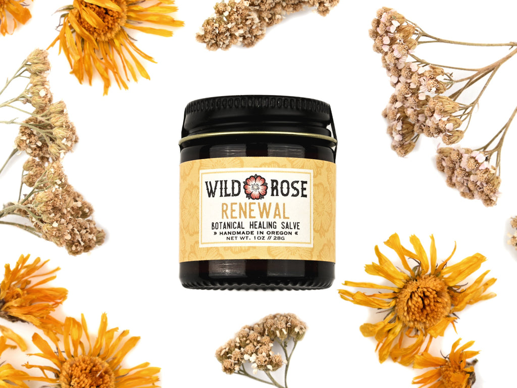 Renewal Healing Salve in a 1oz amber glass jar with metal lid. Dried yarrow and calendula surround.