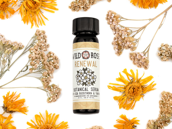 ohol wild rose seed Renewal Botanical Facial Serum with Sea Buckthorn & Yarrow– Wild Rose