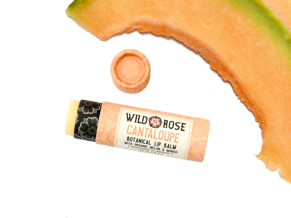 Wild Rose Cantaloupe Botanical Lip Balm shown with a slice of cantaloupe melon on a white background. The cap is removed revealing a creamy off-white balm.