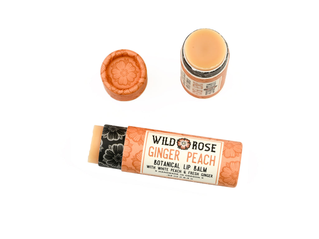 Wild Rose Ginger Peach Botanical Lip Balm in a biodegradable tube on a white background. The cap is off revealing a creamy orange balm.