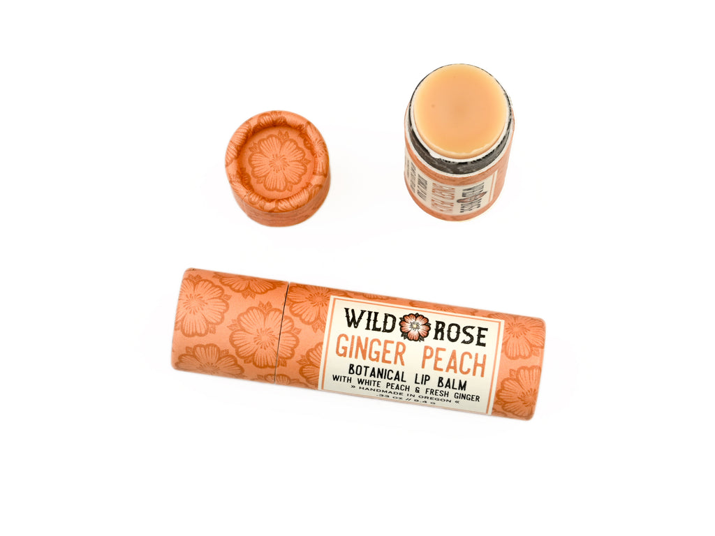 Wild Rose Ginger Peach Botanical Lip Balm in a biodegradable tube on a white background. The cap is off revealing a creamy orange balm.