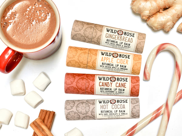 Wild Rose Holiday Lip Balm set with Gingerbread, Apple Cider, Candy Cane and Hot Cocoa Lip Balms in biodegradable tubes. Shown with candy canes, a cup of hot cocoa, marshmallows, ginger root and cinnamon on a white background.