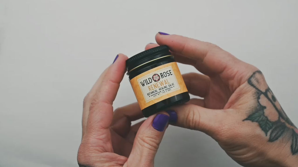 Wild Rose Renewal Healing Salve application on the hands