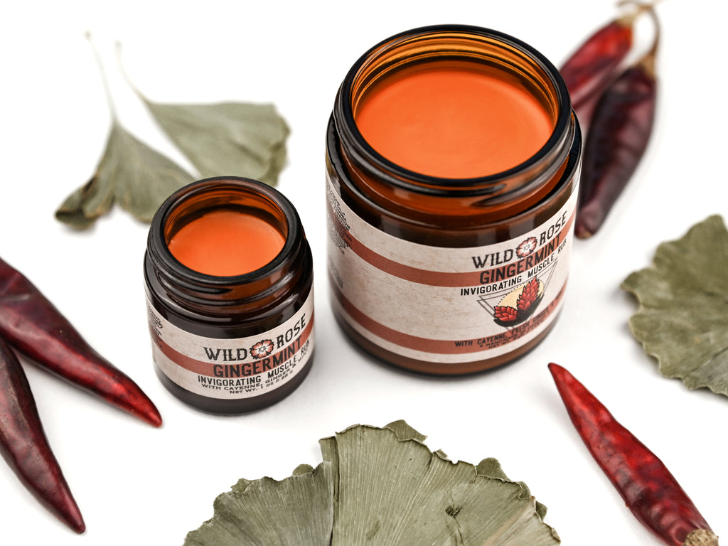 Gingermint Muscle Rub in amber glass jars. The lids are removed revealing a creamy bright orange balm. Dried gingko and peppers surround.